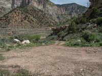 Scenic Off-Road Track in Utah: Mountain Landscape