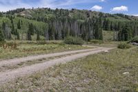 the trail has been graveled by the woods and mountains along with evergreens and rocky hills