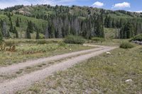 the trail has been graveled by the woods and mountains along with evergreens and rocky hills