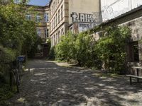 the cobblestones in the courtyard of this old building are lined with trees and bushes