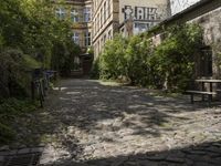 the cobblestones in the courtyard of this old building are lined with trees and bushes