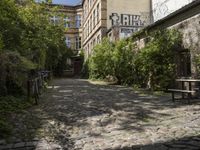 the cobblestones in the courtyard of this old building are lined with trees and bushes