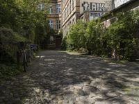 the cobblestones in the courtyard of this old building are lined with trees and bushes