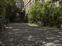 the cobblestones in the courtyard of this old building are lined with trees and bushes