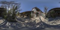 a fisheye lens view of an old building and palm trees along the street,