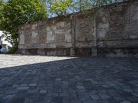 an image of the cobblestone stone street outside an old building wall with lots of leaves