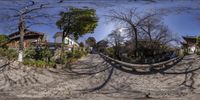 a fish eye lens picture of the front yard and trees of an old house in a city