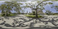 an image of a circular photo taken of trees and buildings in an old neighborhood by the lake