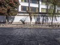 an old stoned pathway that runs along the sidewalk next to buildings and trees with their shadows