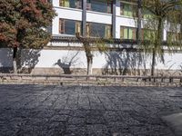 an old stoned pathway that runs along the sidewalk next to buildings and trees with their shadows