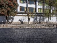 an old stoned pathway that runs along the sidewalk next to buildings and trees with their shadows