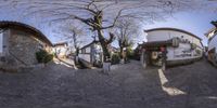 a big panoramic mirror of a cobblestone street with houses in the background