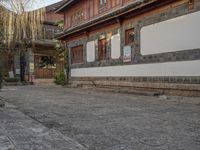 the street near an older house in the mountains has a black cat running through it