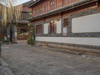 the street near an older house in the mountains has a black cat running through it