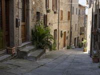 an old village alley with stone buildings, palm trees and flower potted plants outside