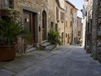 an old village alley with stone buildings, palm trees and flower potted plants outside