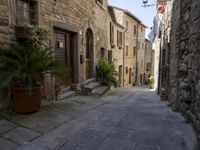 an old village alley with stone buildings, palm trees and flower potted plants outside