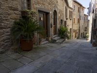 an old village alley with stone buildings, palm trees and flower potted plants outside