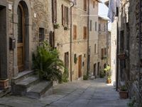 an old village alley with stone buildings, palm trees and flower potted plants outside