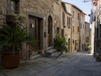 an old village alley with stone buildings, palm trees and flower potted plants outside