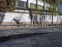 a bricked - in walkway with a stone planter and cement steps that lead down to a building