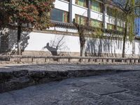 a bricked - in walkway with a stone planter and cement steps that lead down to a building