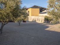 a couple of olive trees in front of some house and building near a concrete structure