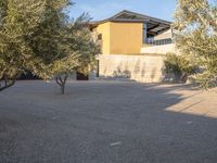 a couple of olive trees in front of some house and building near a concrete structure