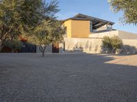 a couple of olive trees in front of some house and building near a concrete structure