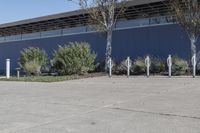 there are trees on the concrete in front of this building that has several signs around it