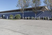 there are trees on the concrete in front of this building that has several signs around it