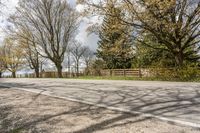 an asphalt road with several trees along side it on a sunny day in spring time