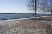 Ontario, Canada: A Serene Coastal Landscape with Clear Sky