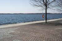 Ontario, Canada: A Serene Coastal Landscape with Clear Sky