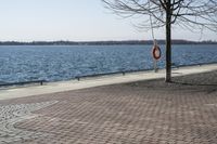 Ontario, Canada: A Serene Coastal Landscape with Clear Sky