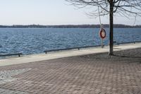 Ontario, Canada: A Serene Coastal Landscape with Clear Sky