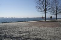 Ontario, Canada: A Serene Coastal Landscape with Clear Sky