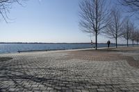 Ontario, Canada: A Serene Coastal Landscape with Clear Sky