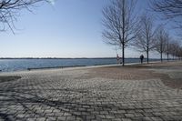 Ontario, Canada: A Serene Coastal Landscape with Clear Sky