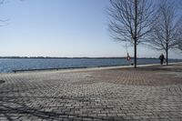 Ontario, Canada: A Serene Coastal Landscape with Clear Sky