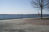 Ontario, Canada: A Serene Coastal Landscape with Clear Sky