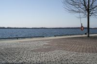 Ontario, Canada: A Serene Coastal Landscape with Clear Sky