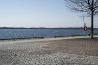 Ontario, Canada: A Serene Coastal Landscape with Clear Sky