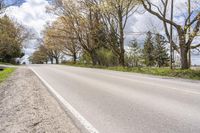 Daytime Landscape in Ontario, Canada: Green Vegetation Everywhere