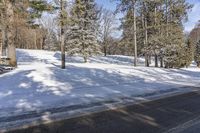 a empty road that has some snow on it and several trees with no leaves in it