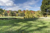 a park with trees that have been covered in leaves and a blue sky with clouds