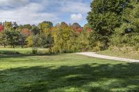 a park with trees that have been covered in leaves and a blue sky with clouds