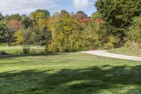 a park with trees that have been covered in leaves and a blue sky with clouds