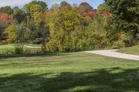 a park with trees that have been covered in leaves and a blue sky with clouds