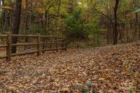 a wooden fence and a brown fence sit in the leaves on a forest trail surrounded by trees